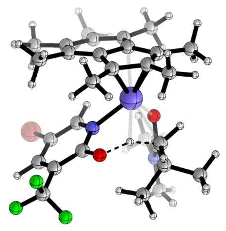 Transition-Metal Catalysis